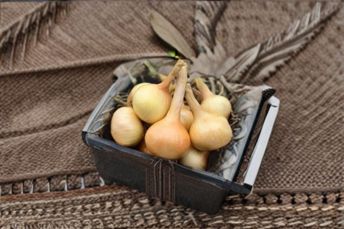 Walla Walla Long Onion Seeds - 50 Sweet Onion Seeds (Allium cepa) for Garden Planting, Mild Flavor, Easy to Grow