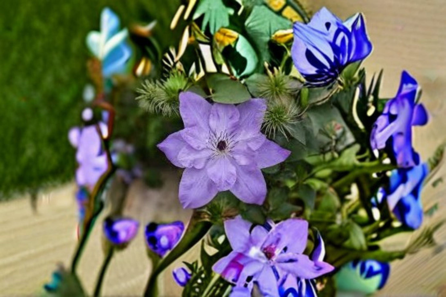 Reflection Clematis Live Plant – Pink Purple Large Flower Vine