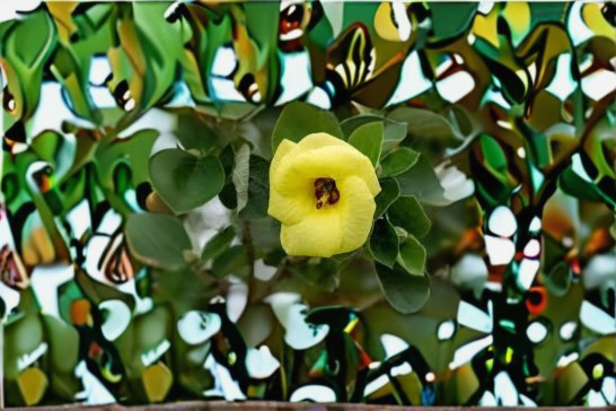 Hardy Yellow Rose of Sharon Seeds, 10 Pack, Hibiscus hamabo, Ornamental Shrub for Garden Planting, Yellow Flower Seeds