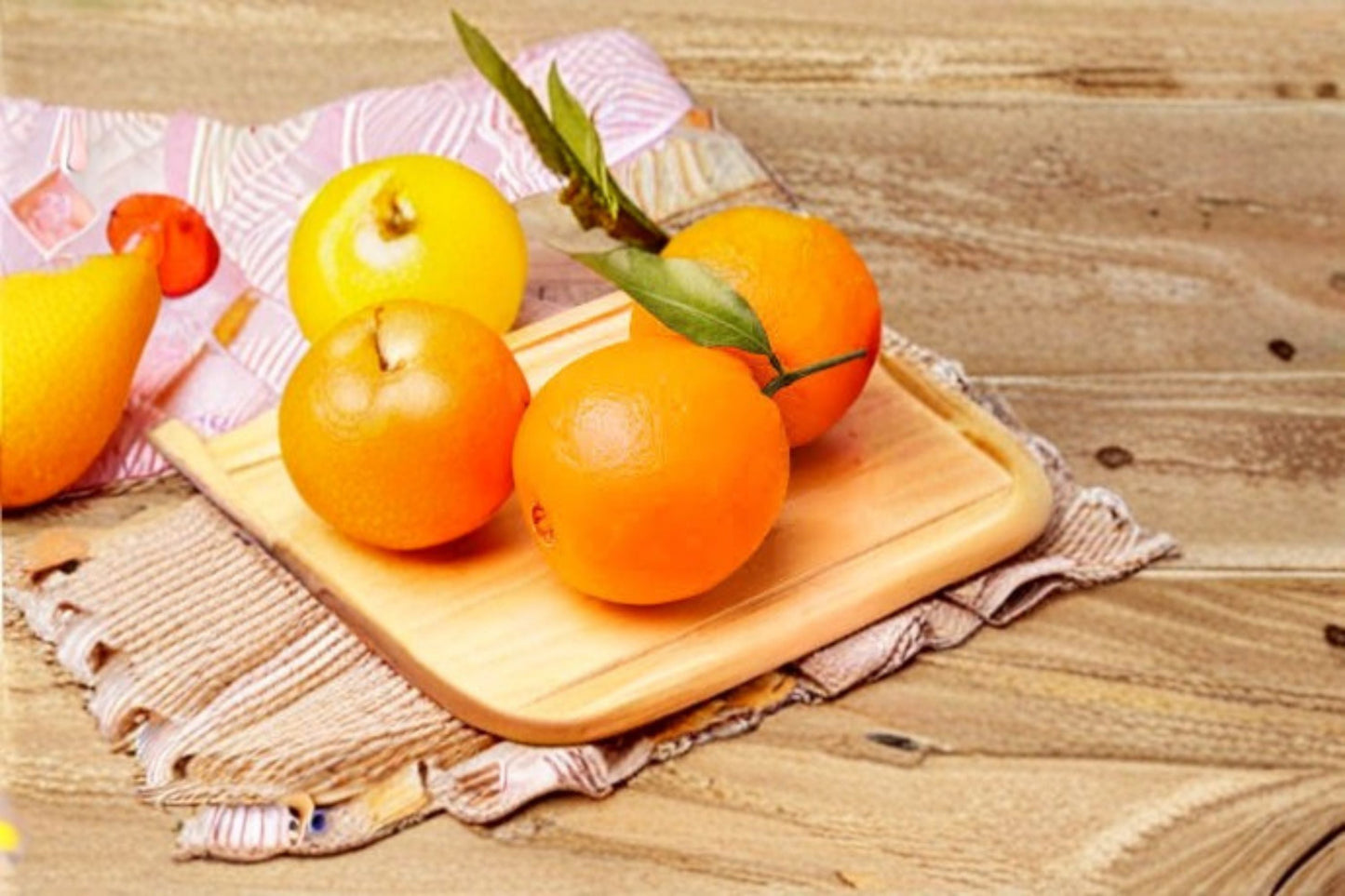 Navel Orange 3 Scions – Citrus sinensis Evergreen Fruit Tree Cuttings for Grafting