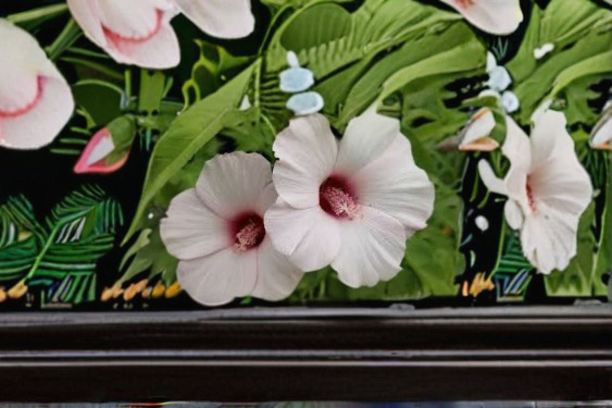 Rose Mallow Seeds 20 Count Pink White Perennial Flower Hibiscus Militaris for Garden Borders & Moist Soil