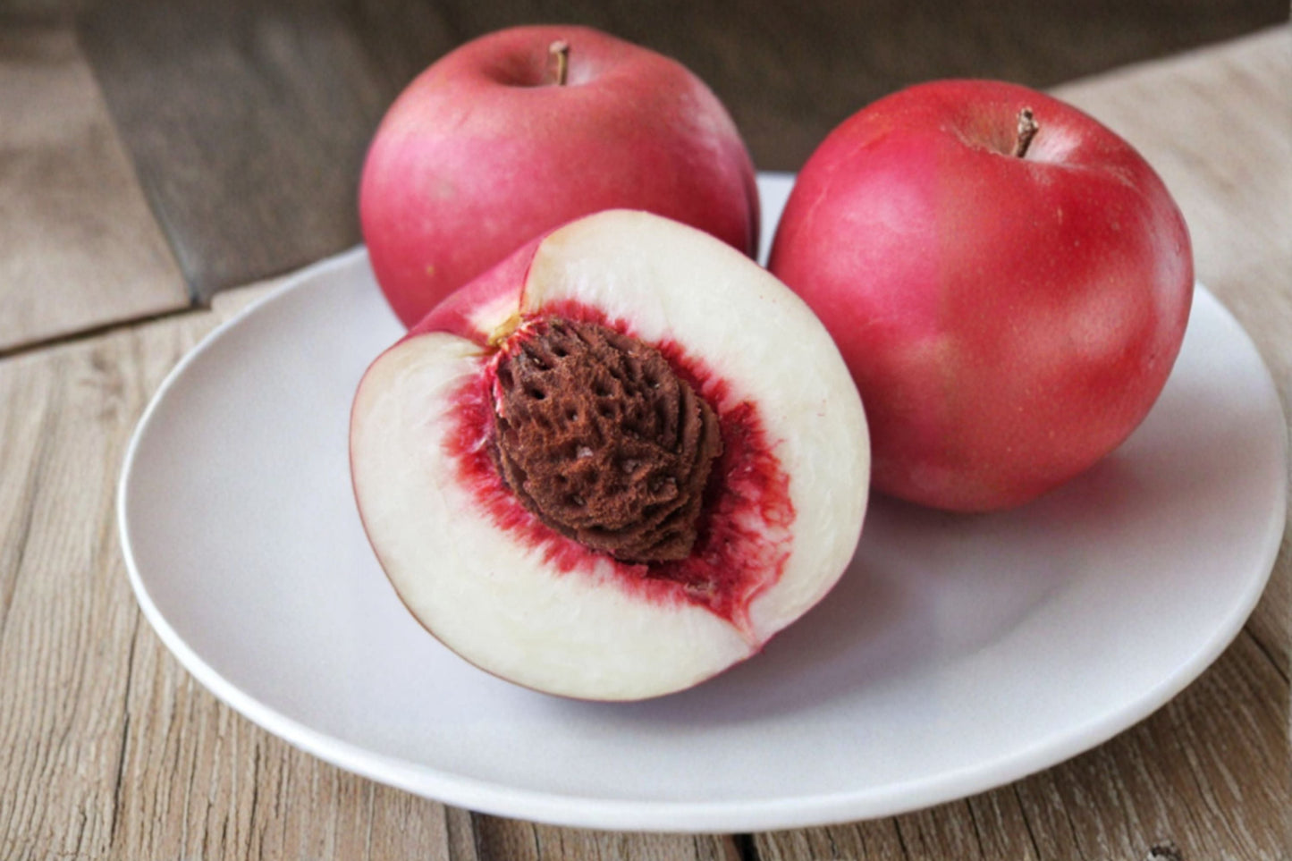 Nectaplum 5 Scions – Prunus spp. Hybrid Fruit Tree Scions for Grafting and Propagation