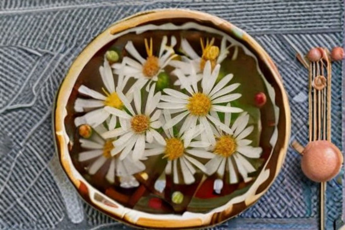 Heath Aster Seeds - 100 Pack Frost Aster White Wildflower Seeds (Symphyotrichum pilosum) Perennial Garden Flower