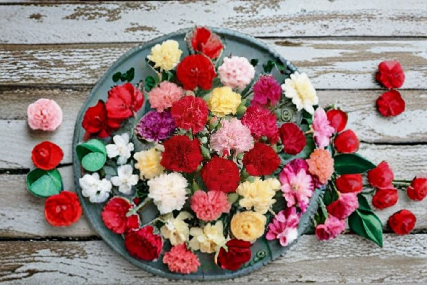 Dianthus Carnation Plant – Compact, Fringed Petal Flower for Full Sun Gardens