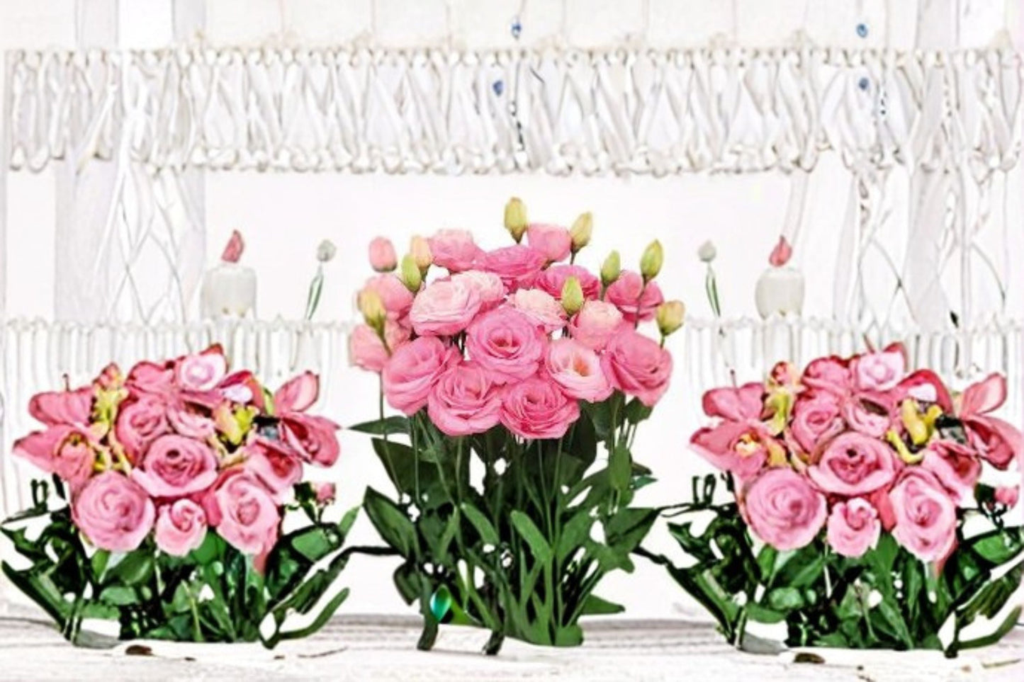 Lisianthus Rosita Eustoma grandiflorum Plant – Rose-like Blooms, Garden & Container Flower