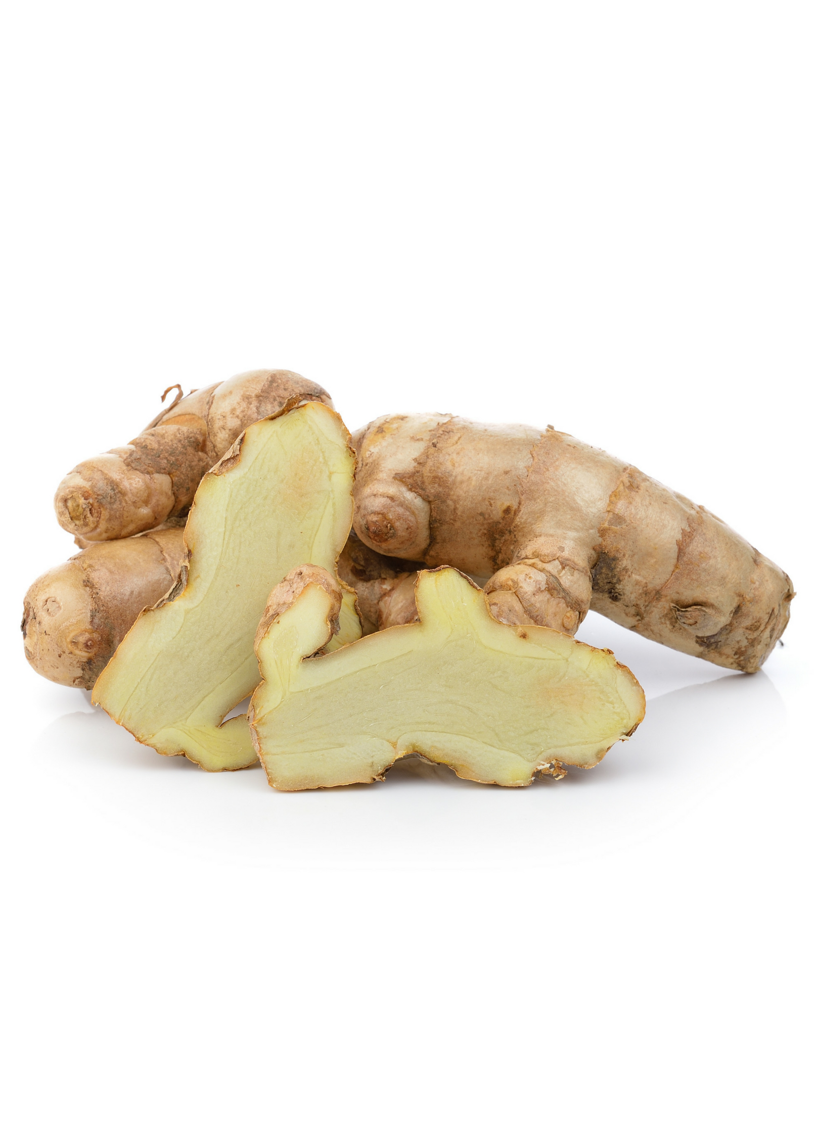 White Turmeric Rhizome Plant - Curcuma zedoaria, Perennial Herb for Container Gardening