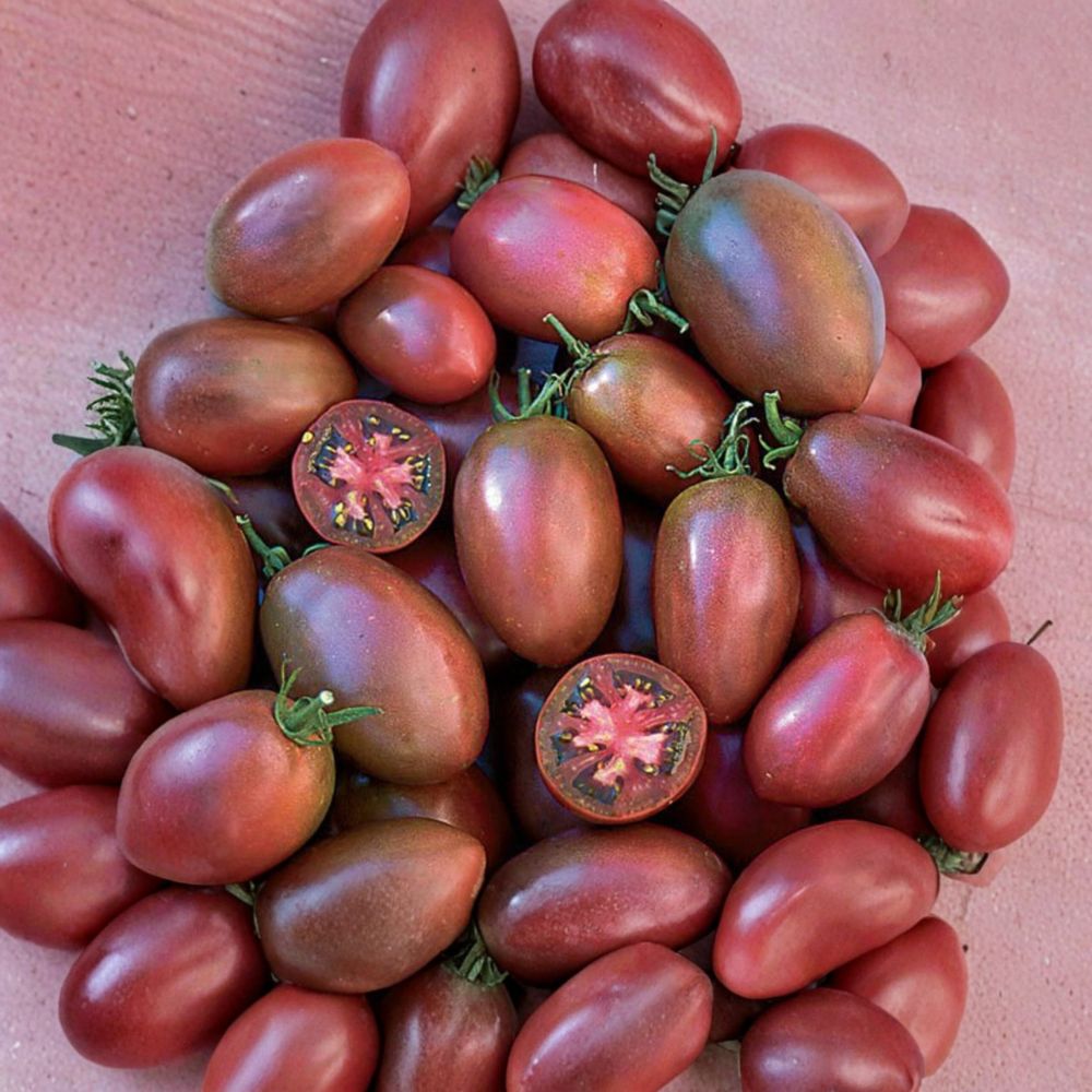 Ukrainian Purple Tomato Seeds – 50 Organically Grown Heirloom Non-GMO Paste Tomatoes