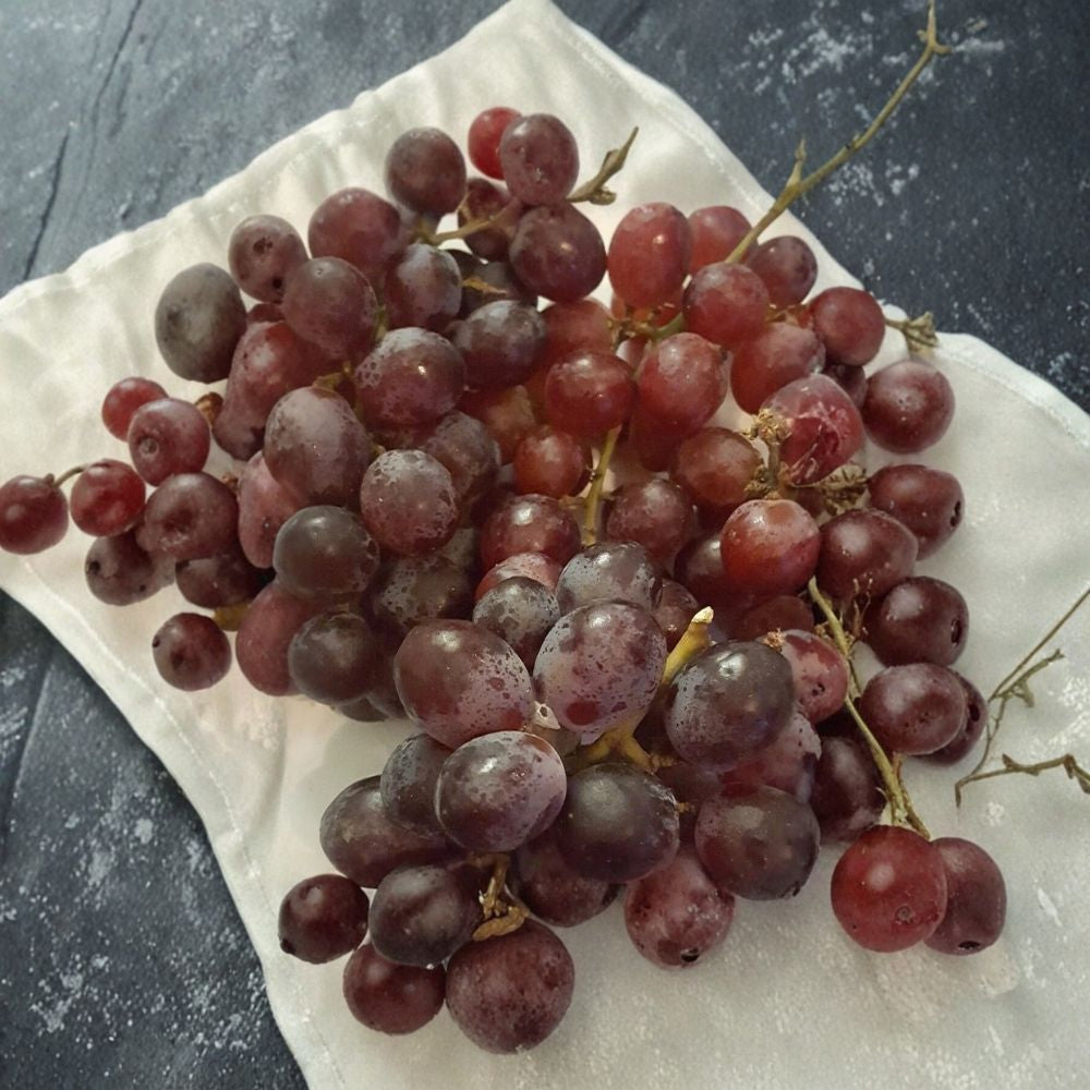 Red Globe Grape Vine – Vitis vinifera Live Plant | 1 Gallon | Self-Fertile Fruit Vine