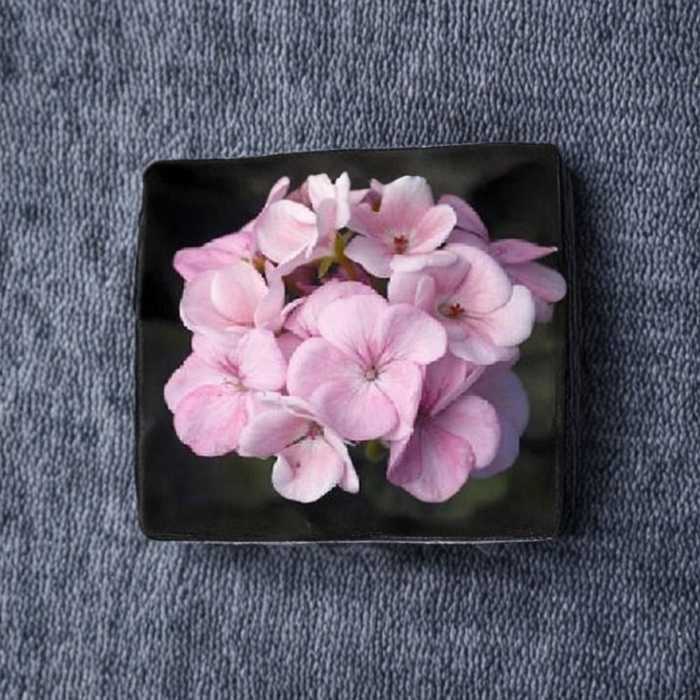 Maverick Appleblossom Geranium Seeds - 10 Pelargonium Flower Seeds for Gardens & Pots
