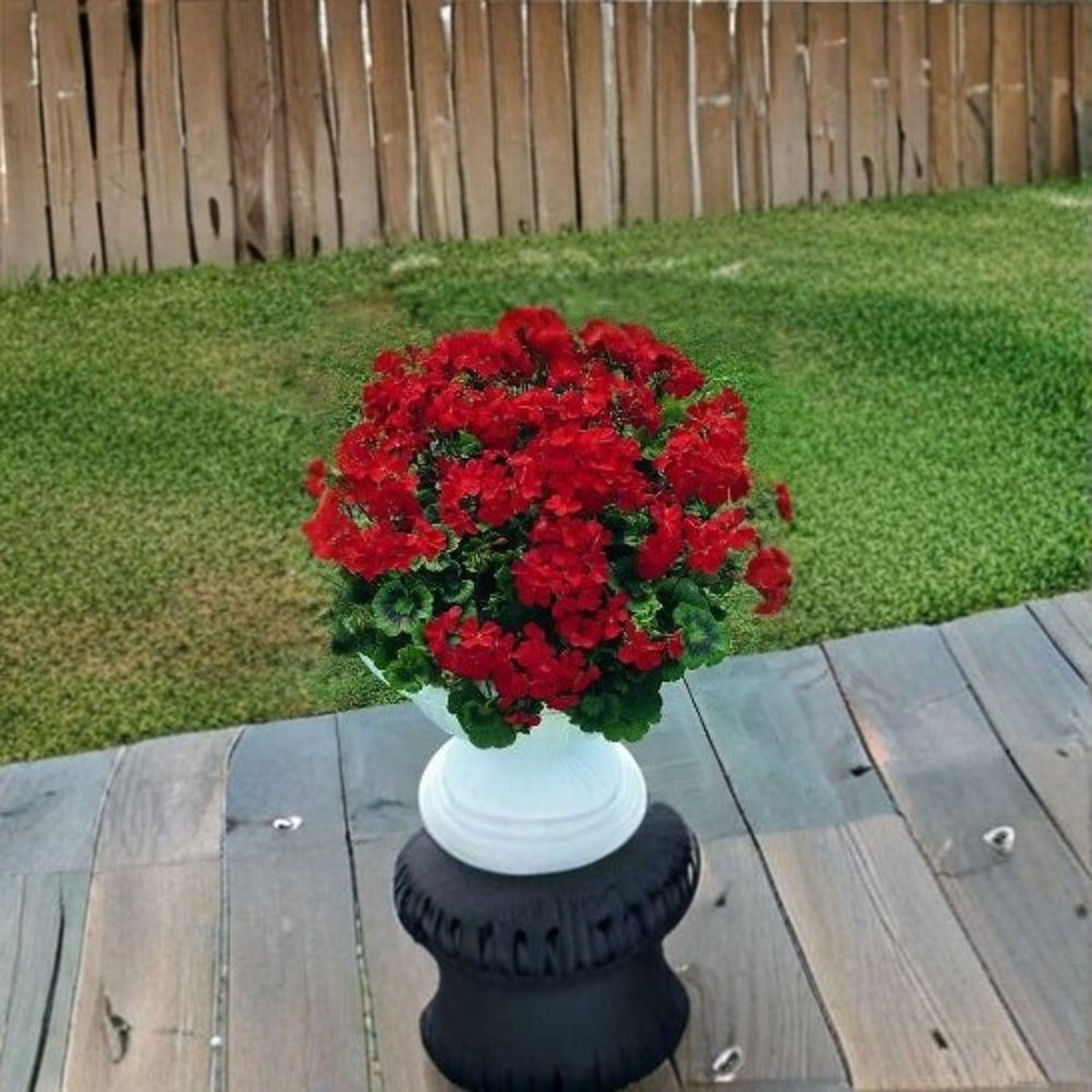 Breakaway Red Geranium Seeds – 100 Pelargonium Seeds | Heat-Tolerant Scarlet Red Flowers