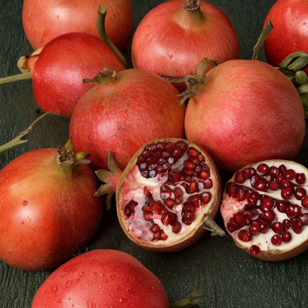 Wonderful Pomegranate Tree – 3 Ft Live Punica granatum | Self-Fertile Fruit Tree with Sweet Tangy Red Fruit