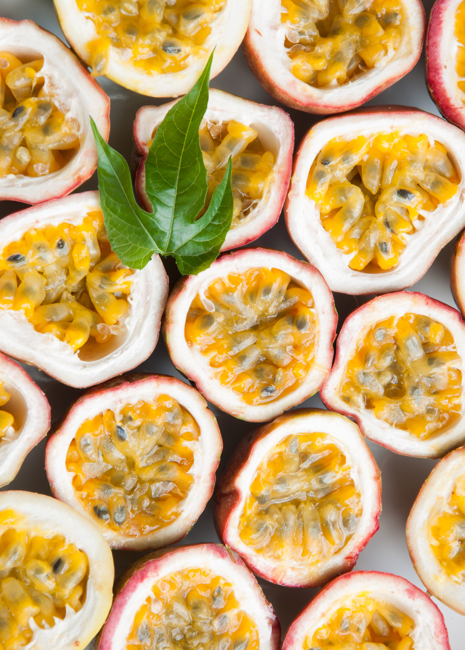 Passion Fruit Vine Panama Red | Climbing Plant with Red Fruit | Passiflora edulis | Evergreen Passion Fruit Plant