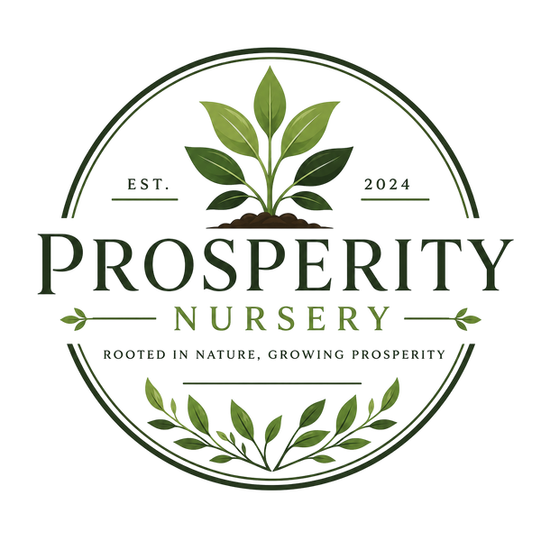 Prosperity Nursery