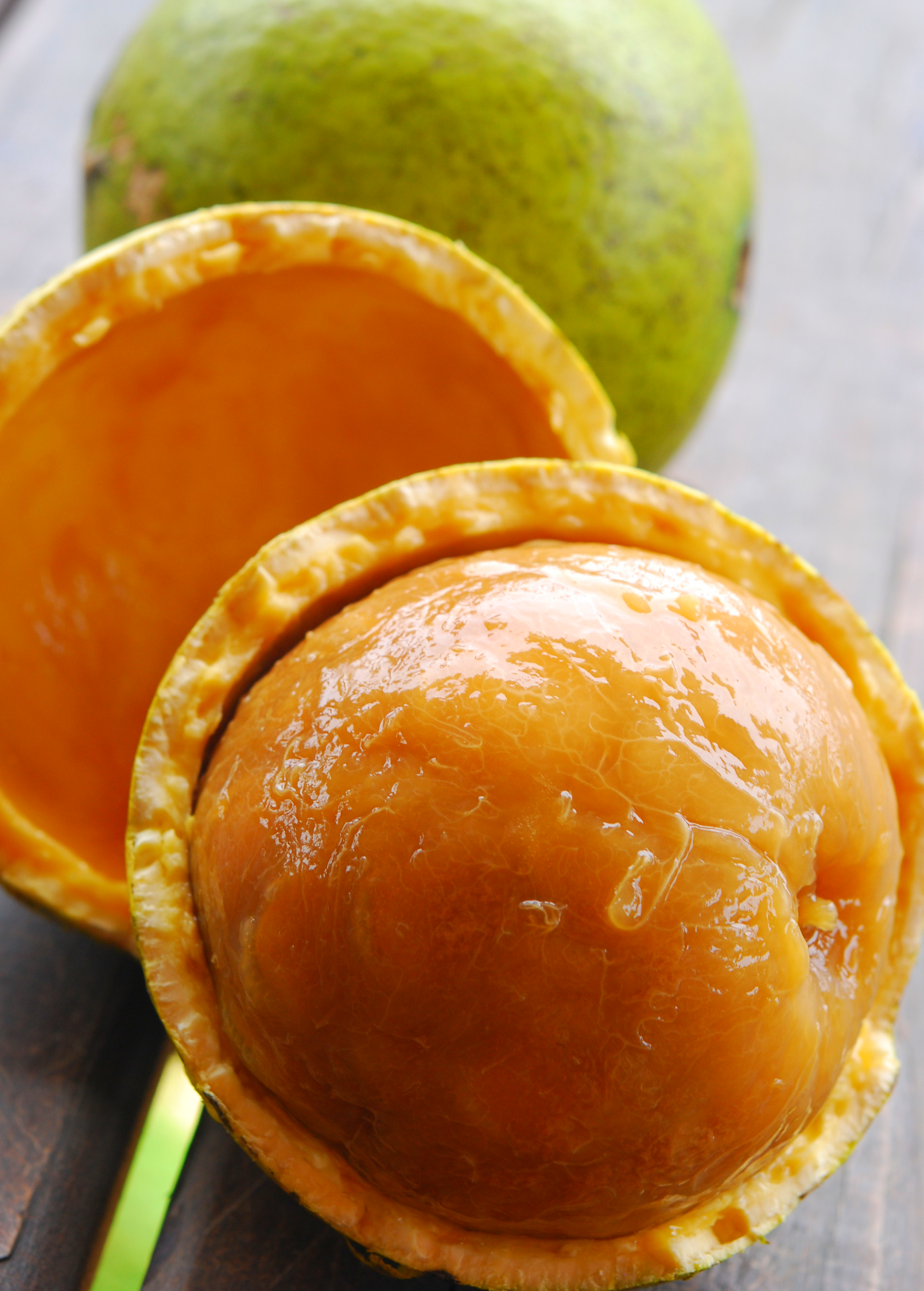 Monkey Orange Tree Fruit - Strychnos spinosa, Tropical Edible Fruit, Unique Bubble Gum & Cream Soda Flavor