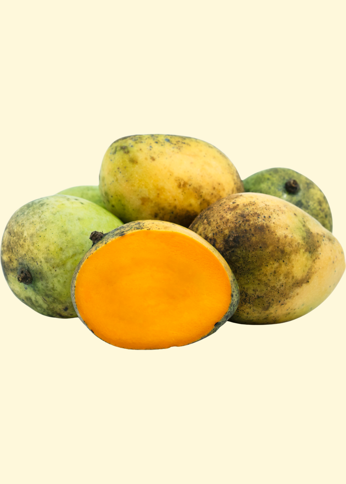 Mango 'Sweet Tart' Fruit Tree - Compact Florida Mango with Rich Candy-Sweet Flavor, Mangifera indica