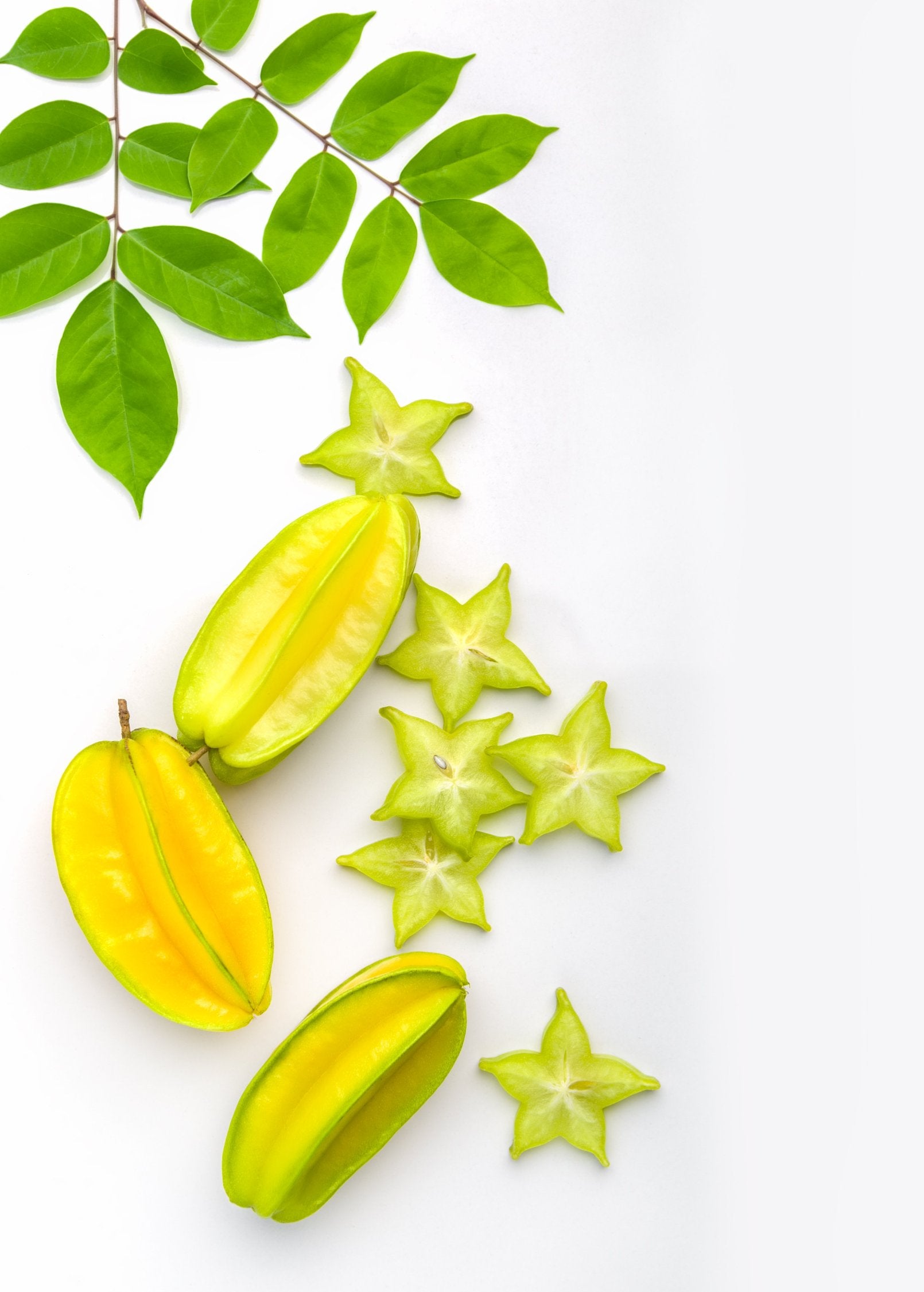 Star Fruit Kari Grafted Tree - Sweet, Prolific Averrhoa carambola for Fresh Eating & Juicing