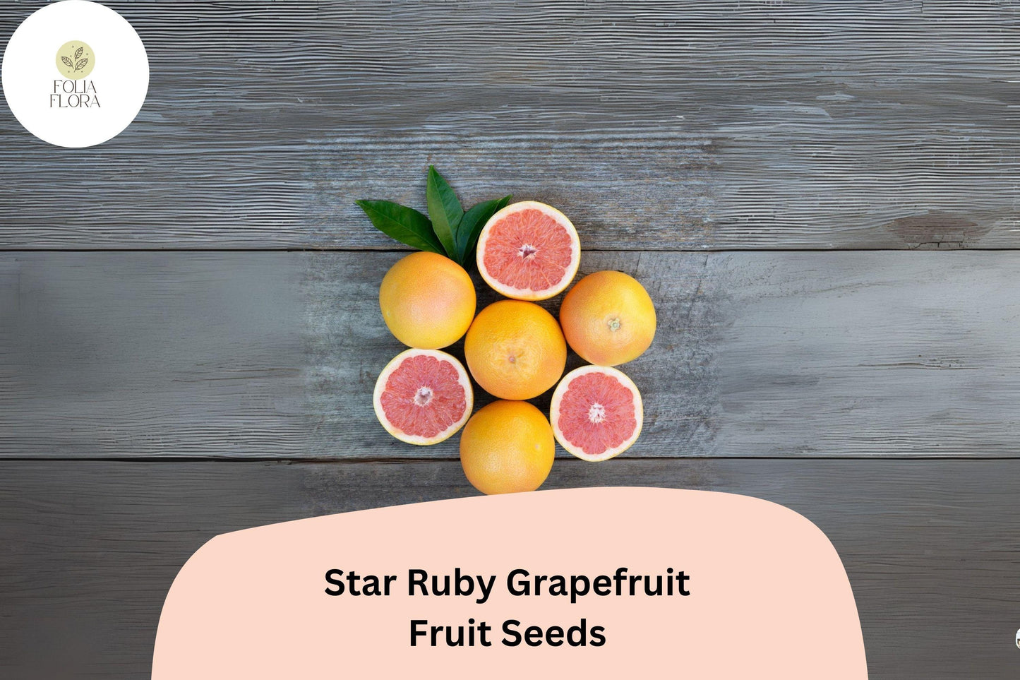 5+ Star Ruby Grapefruit Seeds – Juicy, Deep Red, Sweet-Tart Citrus Tree for USDA Zones 9-11