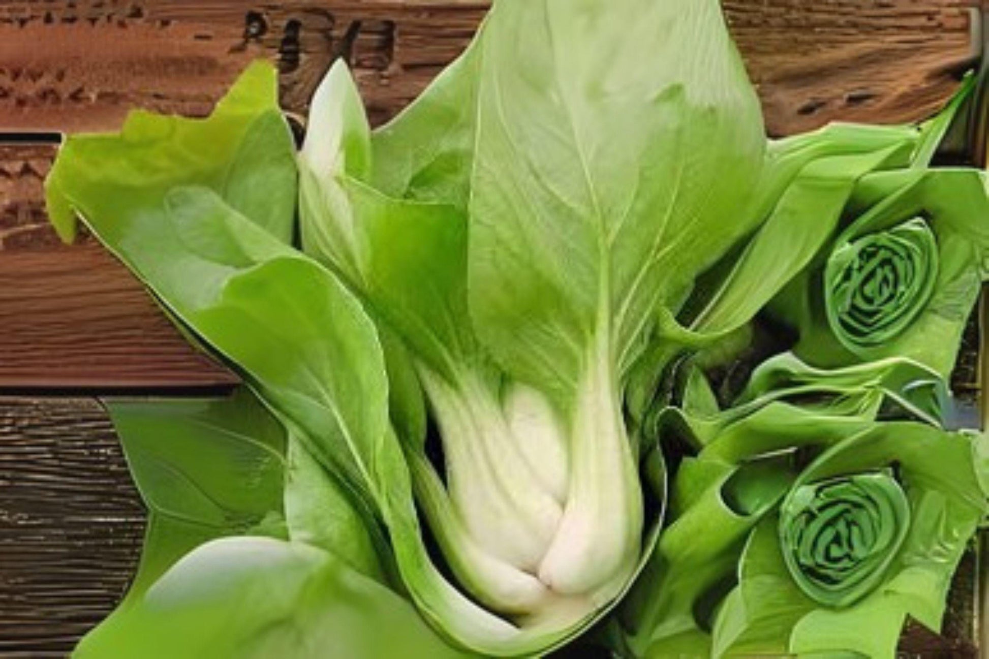 Pak Choi White Stem Seeds – Brassica rapa var. chinensis – Chinese Cabbage for Stir-Fries, Salads & Soups – 400 Seeds