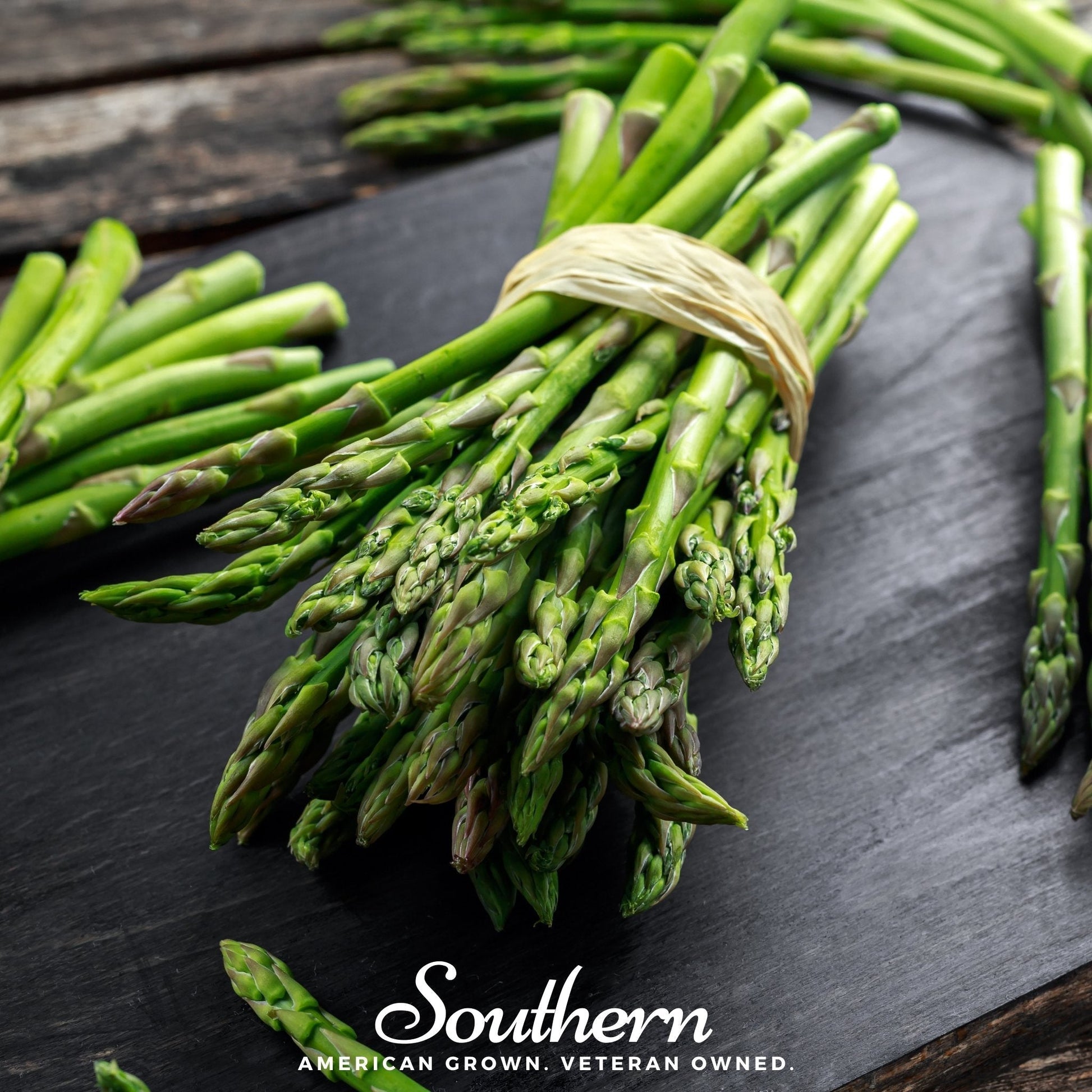 UC157 F2 Asparagus Seeds – Hybrid, Perennial, Disease-Resistant, Gourmet Taste, 50 Seeds, Asparagus officinalis