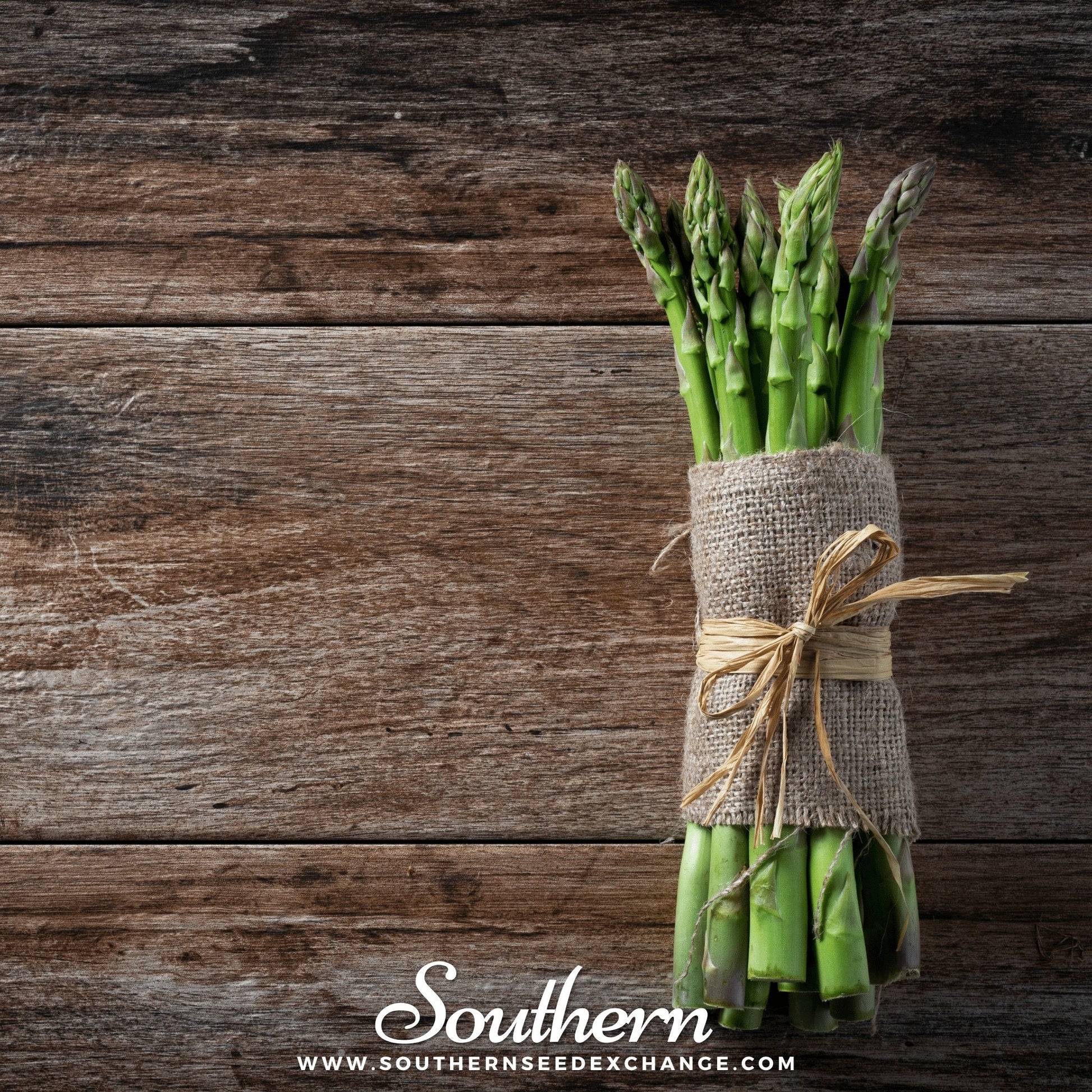 UC72 Asparagus Seeds – Heirloom, Non-GMO, Open Pollinated, Perennial, USDA Zone 4-9