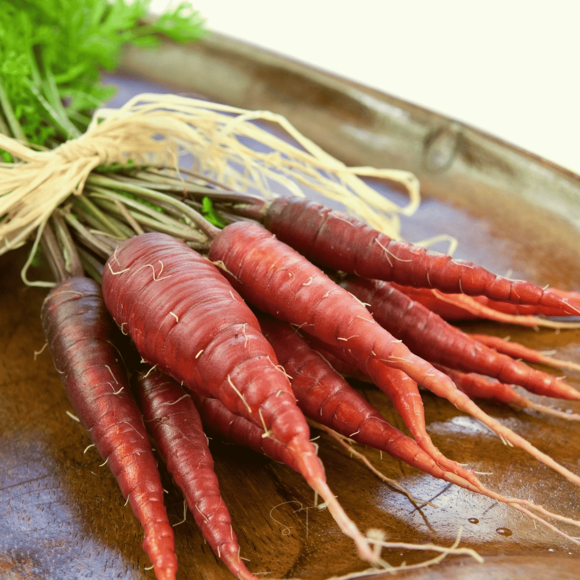 Atomic Red Carrot Seeds – 250 Non-GMO Heirloom Daucus carota, Vibrant Red Root, Nutritious, Open Pollinated, 65 Days to Maturity