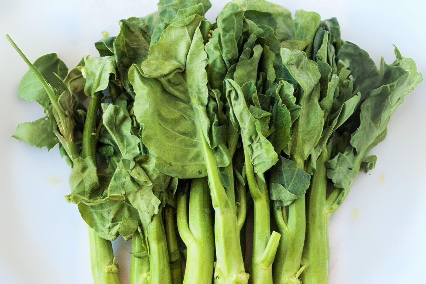 Wan Shen Kailan Seeds - Chinese Broccoli for Stir Fry - 150 Heirloom Seeds - Brassica oleracea var. alboglabra