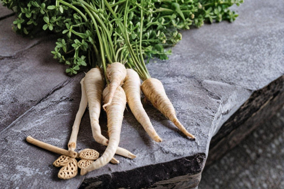 Parsnip Seeds - 350 Heirloom All American Variety - Sweet Flavor, Long Creamy-White Roots - Pastinaca sativa