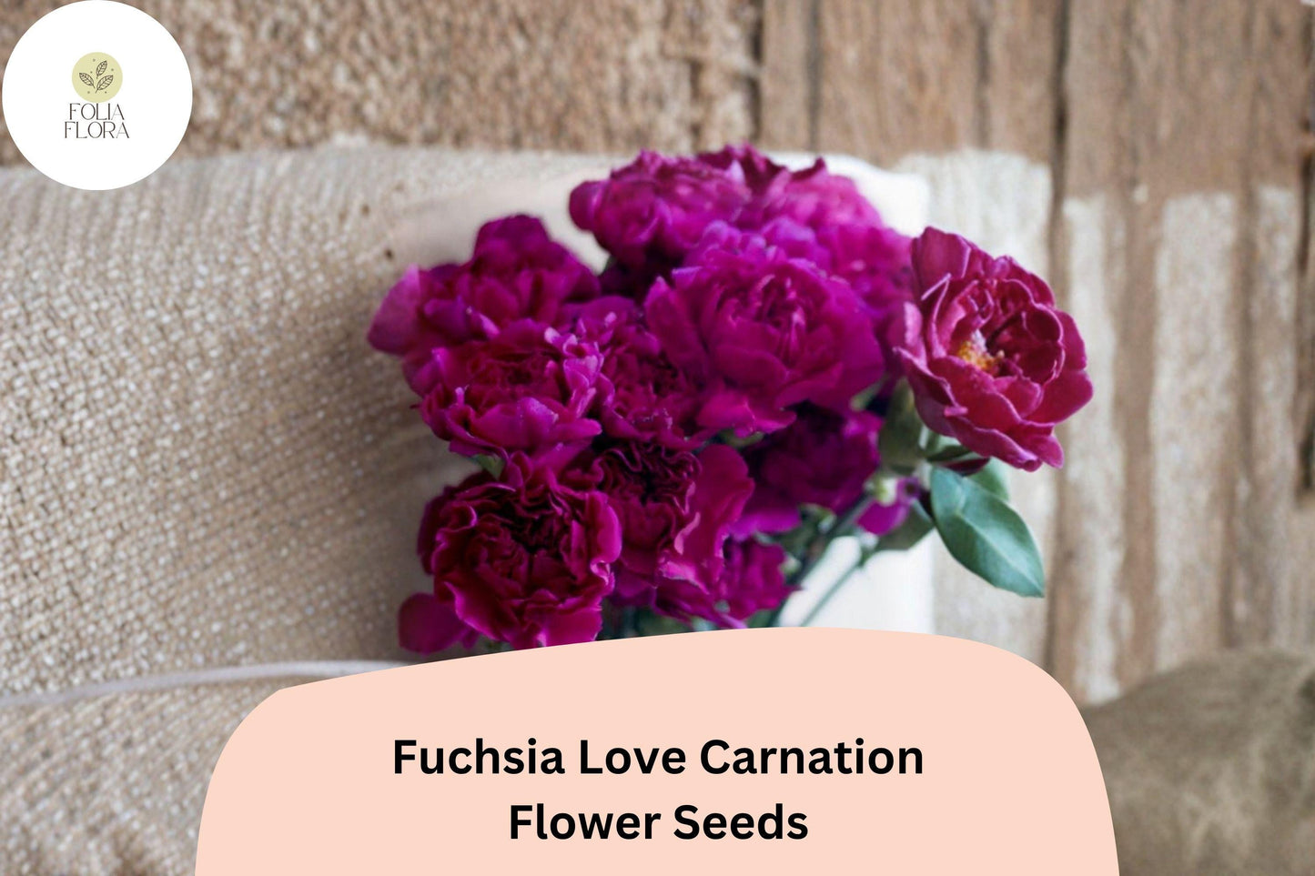 200+ Fuchsia Love Carnation Seeds - Hardy Perennial with Fragrant Purple Blooms