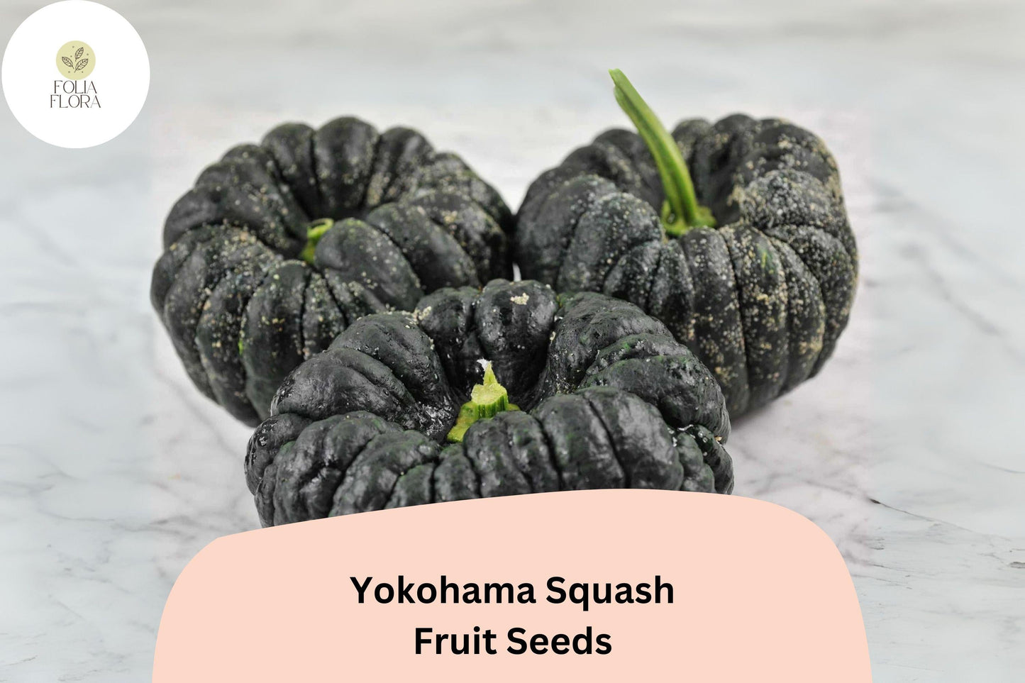 25+ Yokohama Squash Seeds | Rare Japanese Heirloom Winter Squash with Sweet Orange Flesh