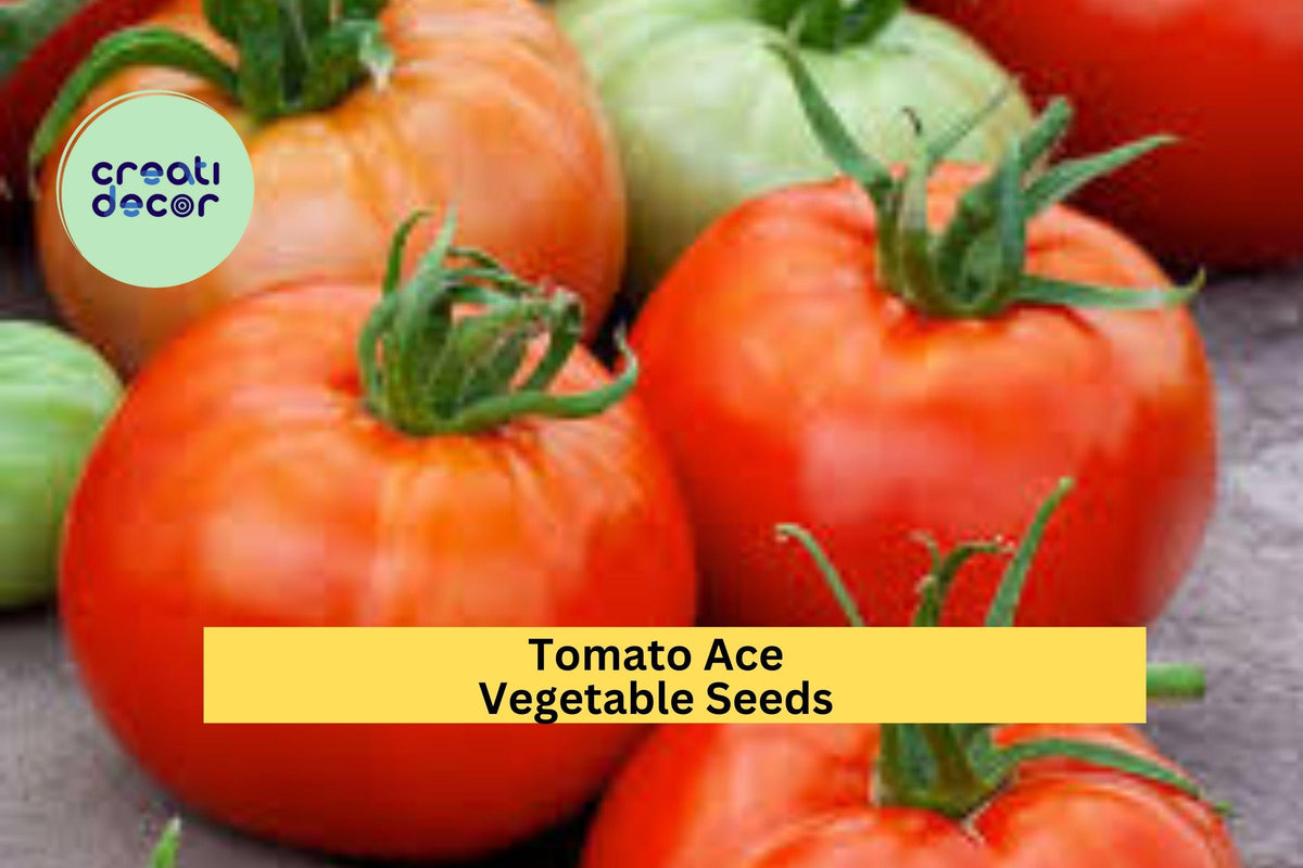 Tomato Seeds 3pcs 100mg Ace 55 Low Acid Heirloom Solanum lycopersicum for Salads & Canning, Perfect for Backyard Gardens