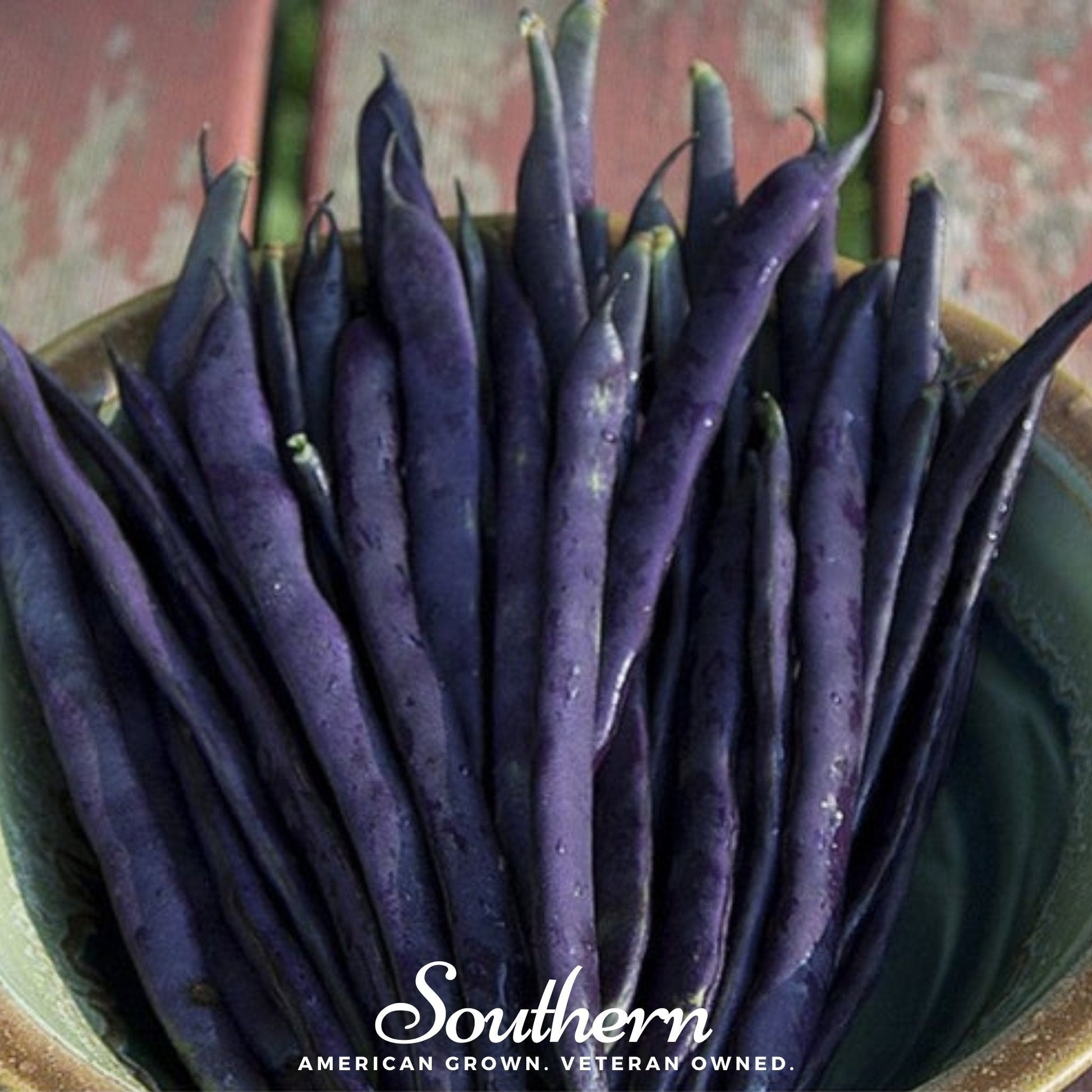 Blue Coco Pole Bean Seeds – Heirloom, Bluish-Purple Pods, Stringless, 30 Seeds, Climbing Vine, Edible & Ornamental, Phaseolus vulgaris