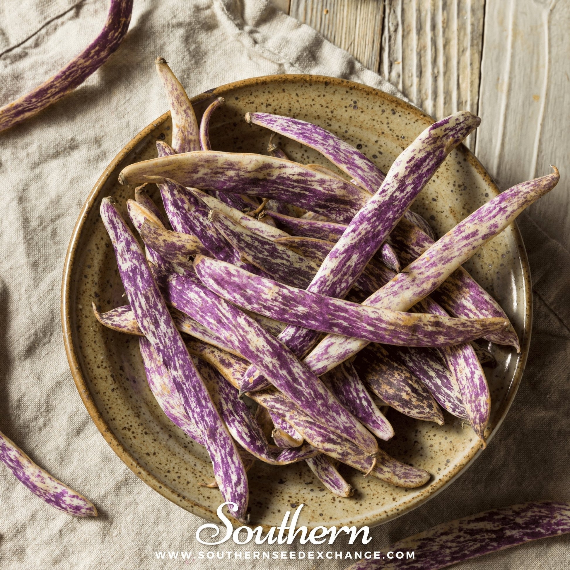 Dragon's Tongue Bush Bean Seeds – Heirloom, Non-GMO, Open Pollinated, USDA Zone 3-10