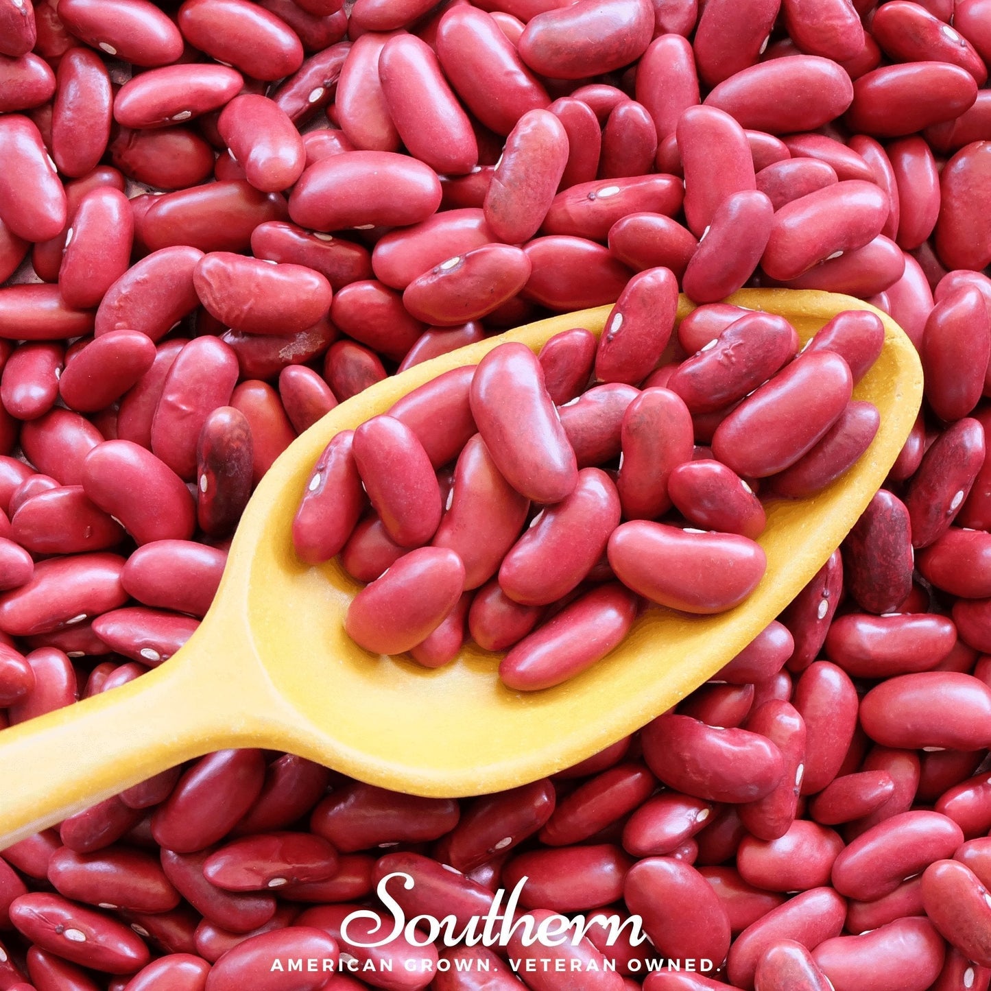 Light Red Kidney Bean Seeds – Bush, Heirloom, Non-GMO, 20 Seeds, Phaseolus vulgaris