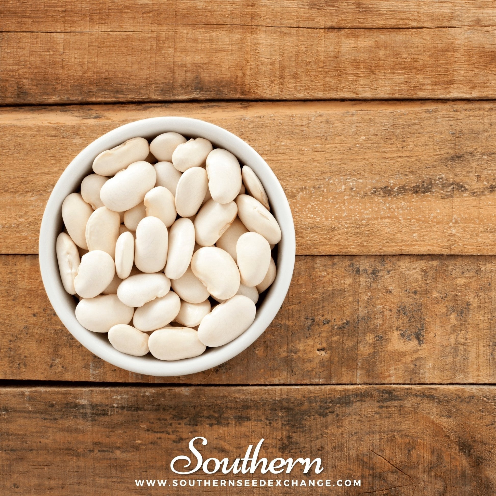 Henderson Bush Lima Bean Seeds | Heirloom, Non-GMO, Open Pollinated, 15 Seeds, Phaseolus lunatus