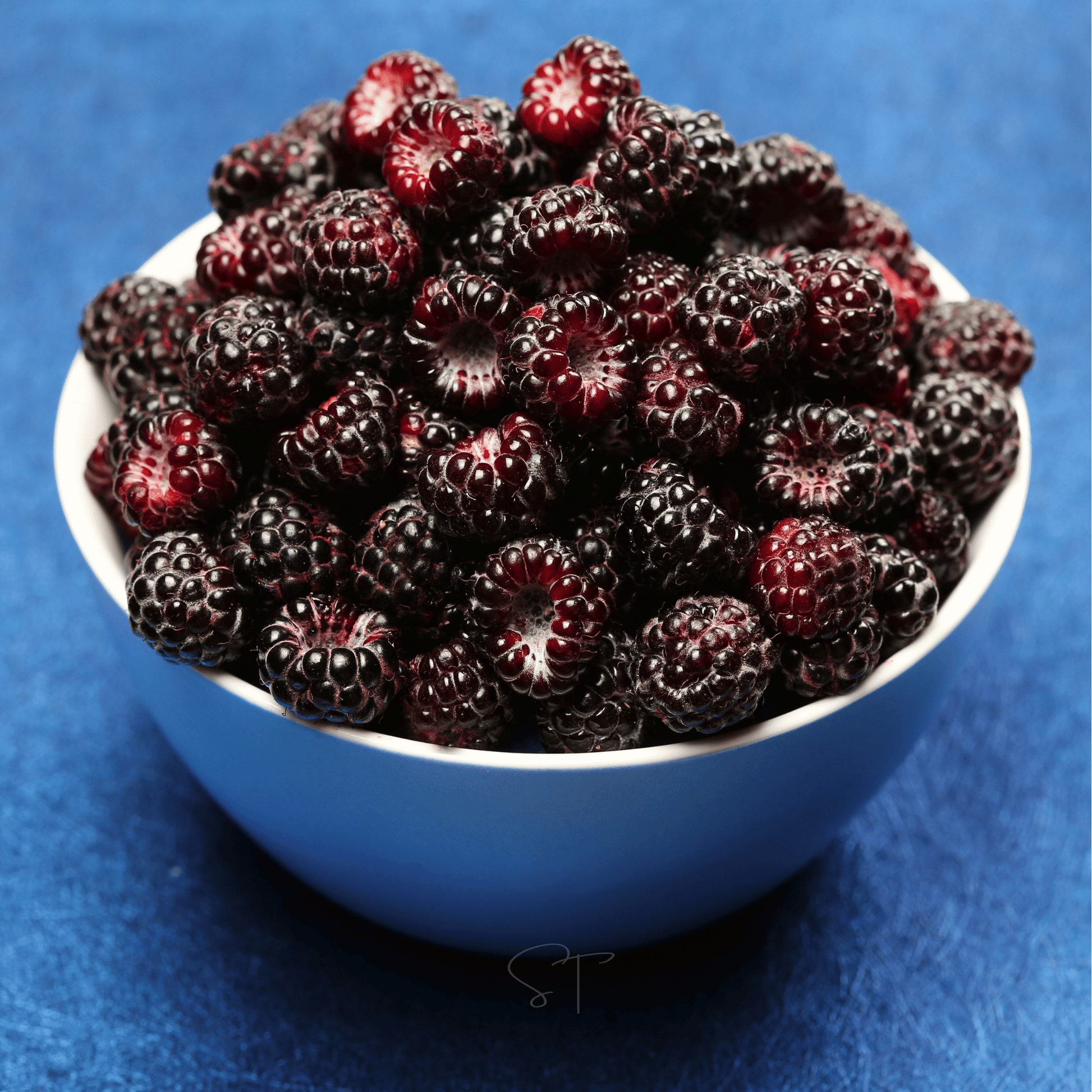Black Raspberry Seeds – 30 Heirloom, Non-GMO, Native Fruit, Rubus occidentalis, Perennial Shrub for Jam, Pie & Dessert