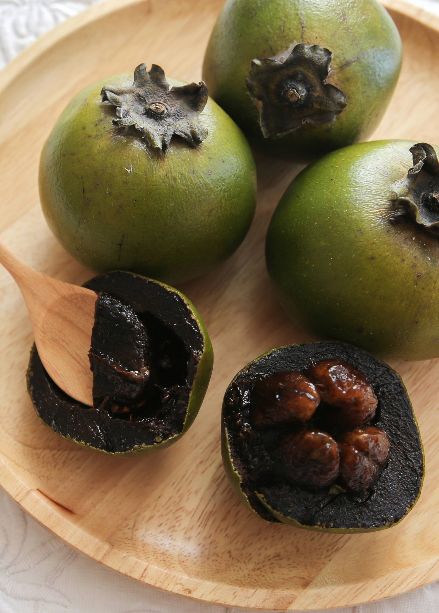 Black Sapote Fruit Tree | Wilson Variety | Diospyros nigra | Tropical Edible Tree