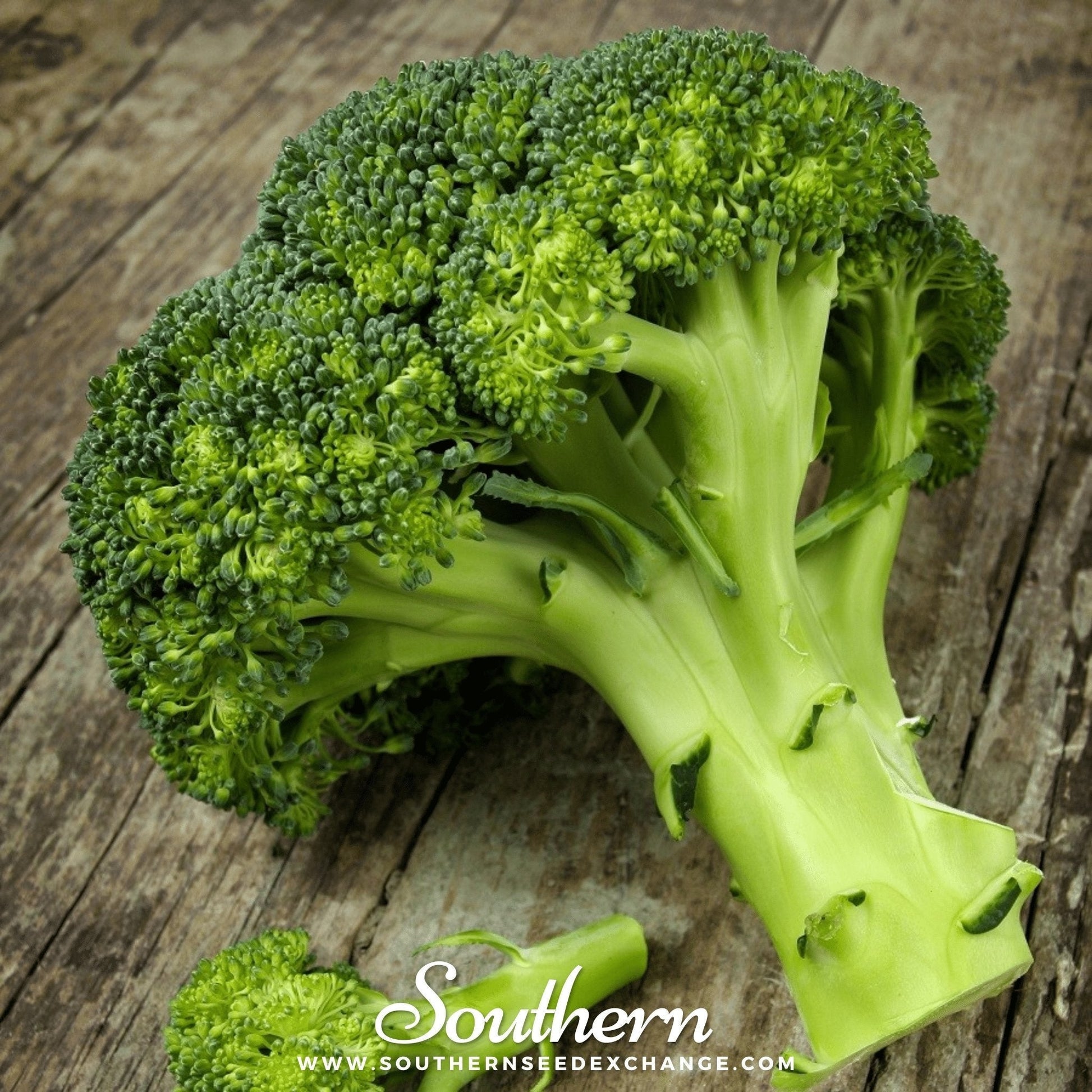Waltham 29 Broccoli Seeds – Heirloom, Cold Tolerant, Open Pollinated, Non-GMO, 100 Seeds