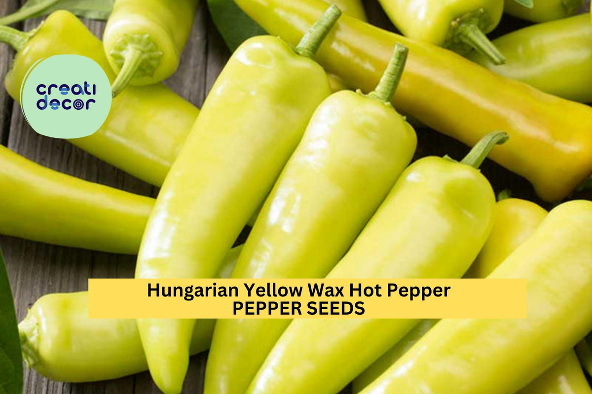 300mg Hot Pepper Seeds - Hungarian Yellow Wax Variety, Medium Heat, Banana-Shaped, Capsicum annuum - 3 Packs for Planting