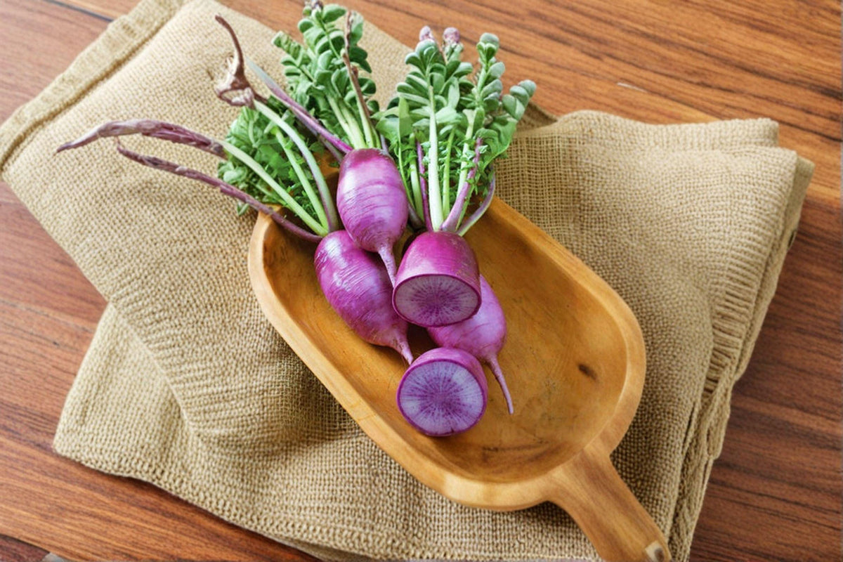 Radish Seeds - 80 Count Triton Purple Stem - Raphanus sativus - Fast-Growing, Mild Flavor, Colorful Roots for Quick Harvests