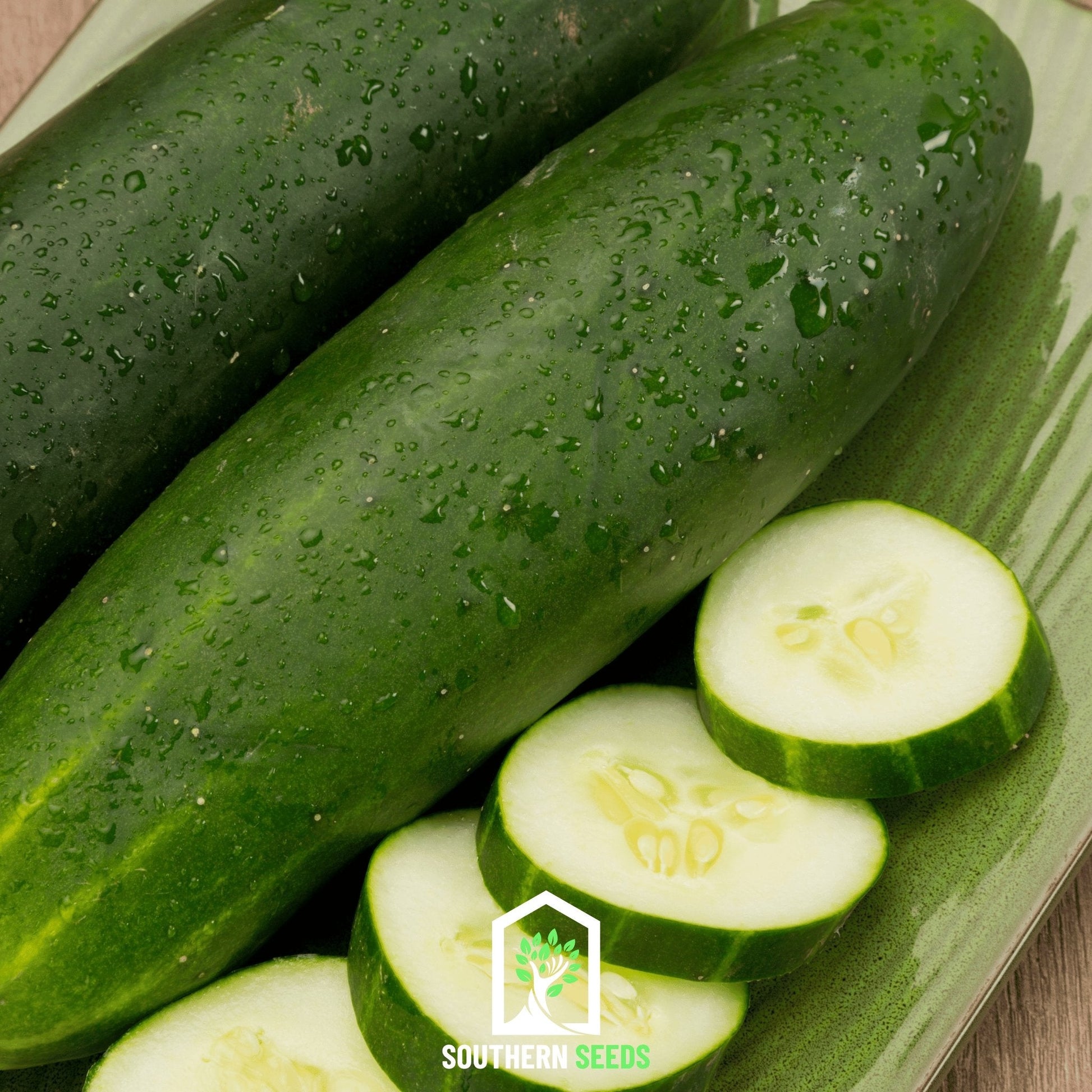 Beit Alpha Cucumber Seeds – Heirloom, Non-GMO, Open Pollinated, Cucumis sativus, for Salad and Greenhouse Growing