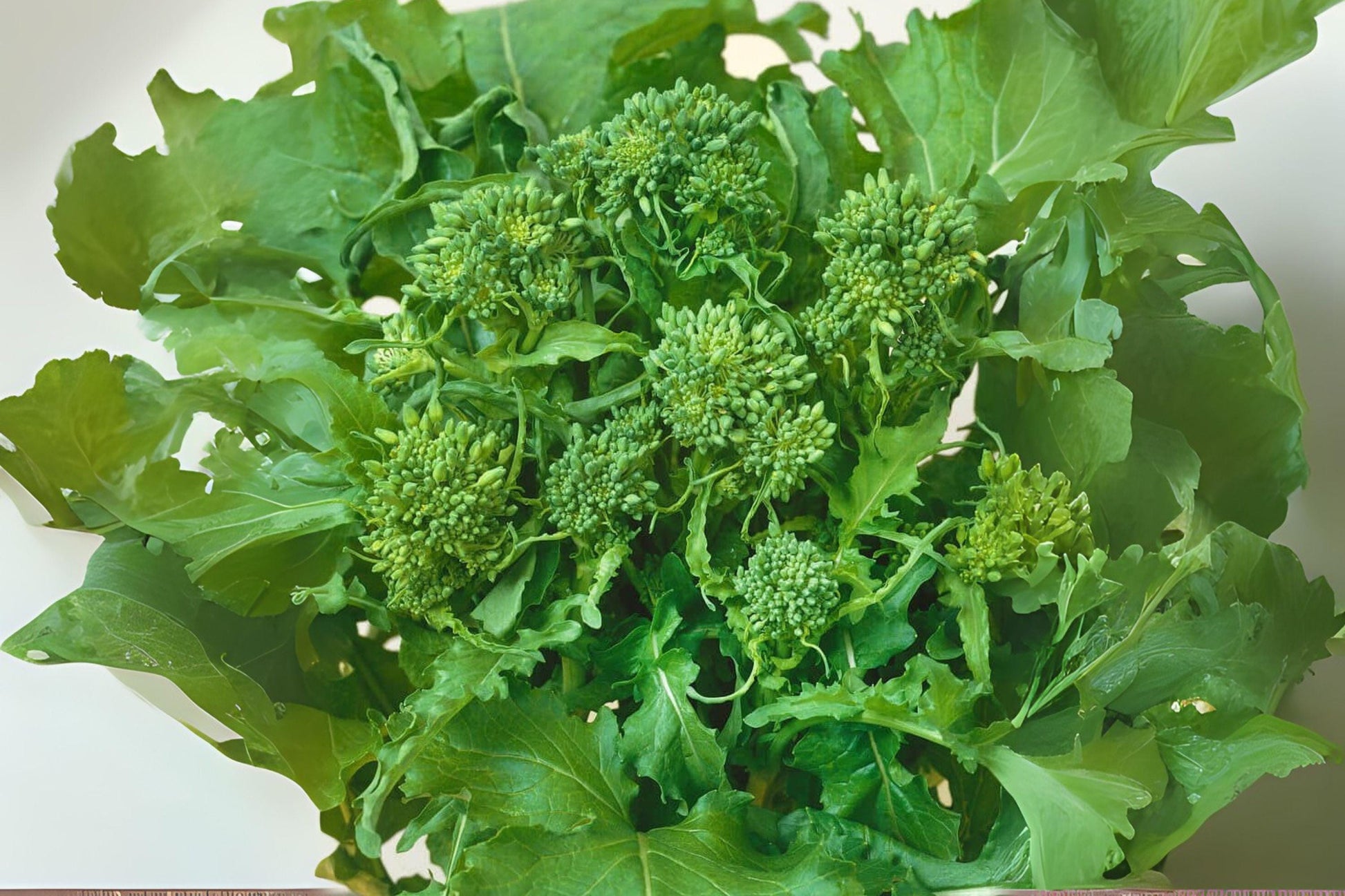 Broccoli Raab Seeds, Italian Heirloom, Fast-Growing Greens, Rapini, Brassica rapa subsp. rapa, Leafy Vegetable, 150 Pack