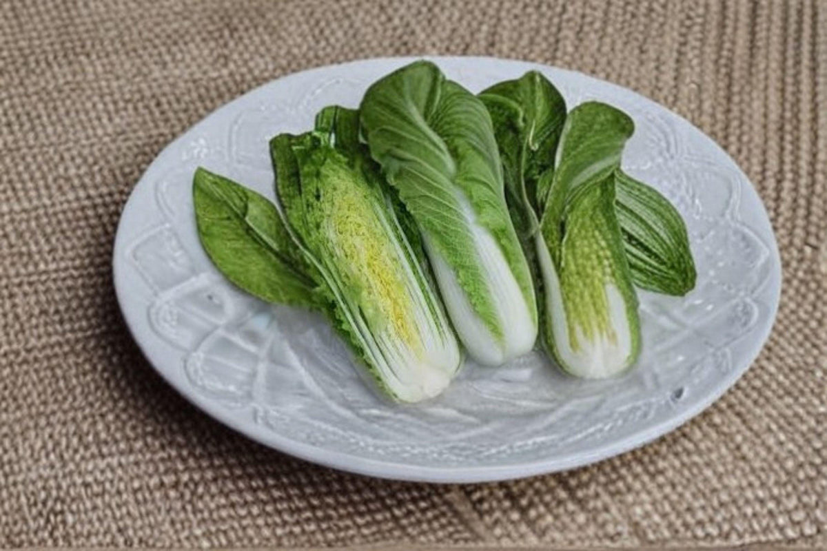 Chinese Heading Cabbage Seeds - Michihli Variety - 150 Non-GMO Seeds - Brassica rapa subsp. pekinensis - Asian Napa Cabbage