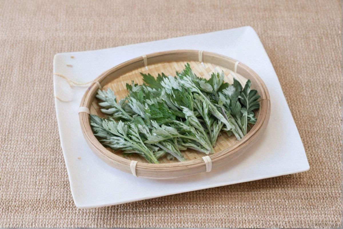 Japanese Mugwort Seeds - Yomogi Herb 30 Seeds - Artemisia princeps - Aromatic Perennial for Culinary & Medicinal Use