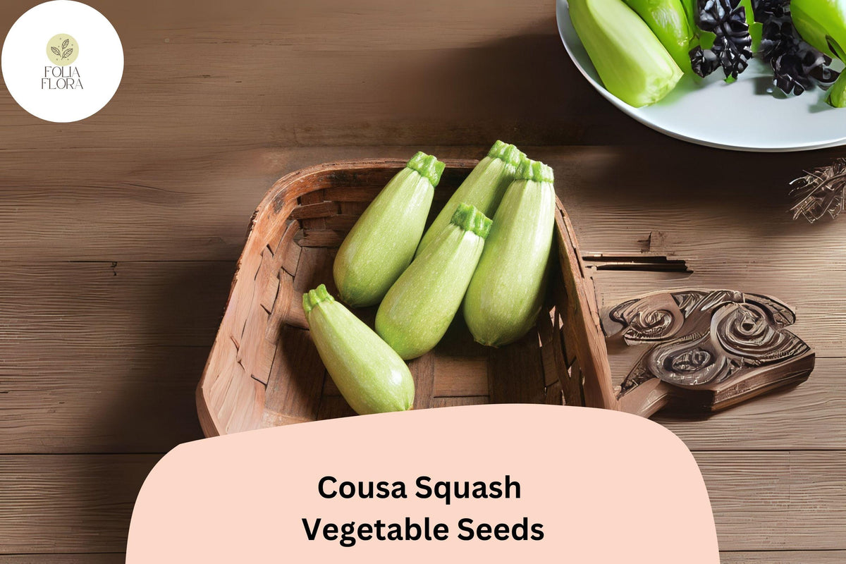 25+ Cousa Squash Seeds | Lebanese Heirloom Summer Squash | Easy-to-Grow Vegetable Seeds