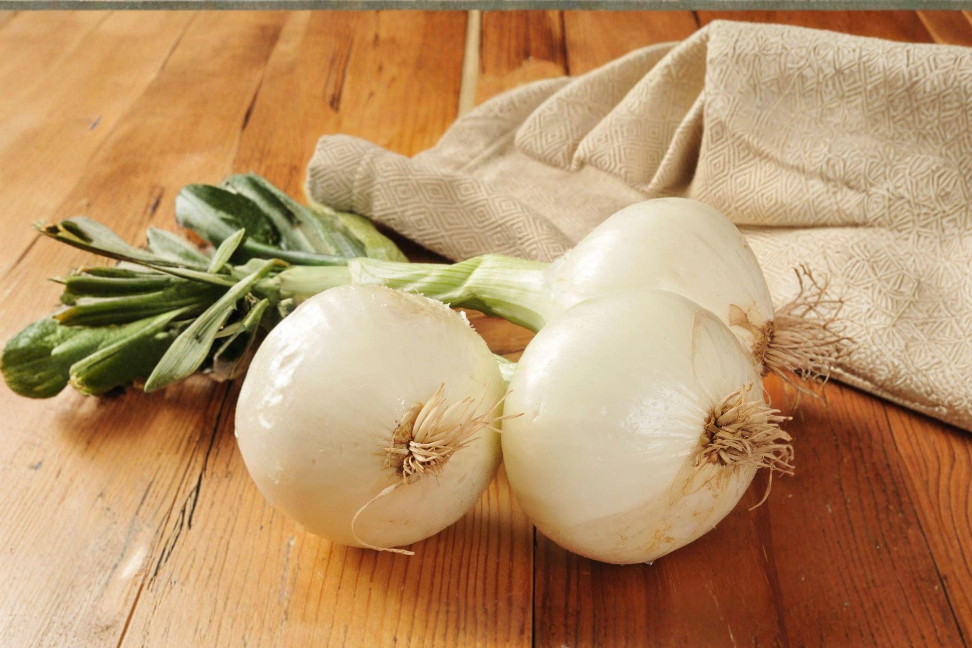 Onion Ringmaster Seeds 250mg Non-GMO Heirloom White Onion Allium cepa for Slicing & Salads