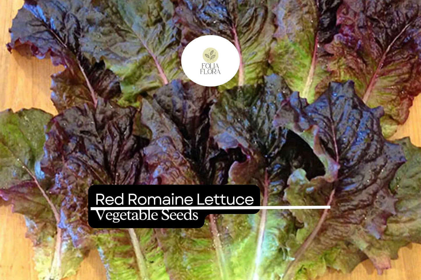 1000 Red Romaine Lettuce Seeds – Crisp, Sweet, Heat-Tolerant Heirloom Lettuce for Salads