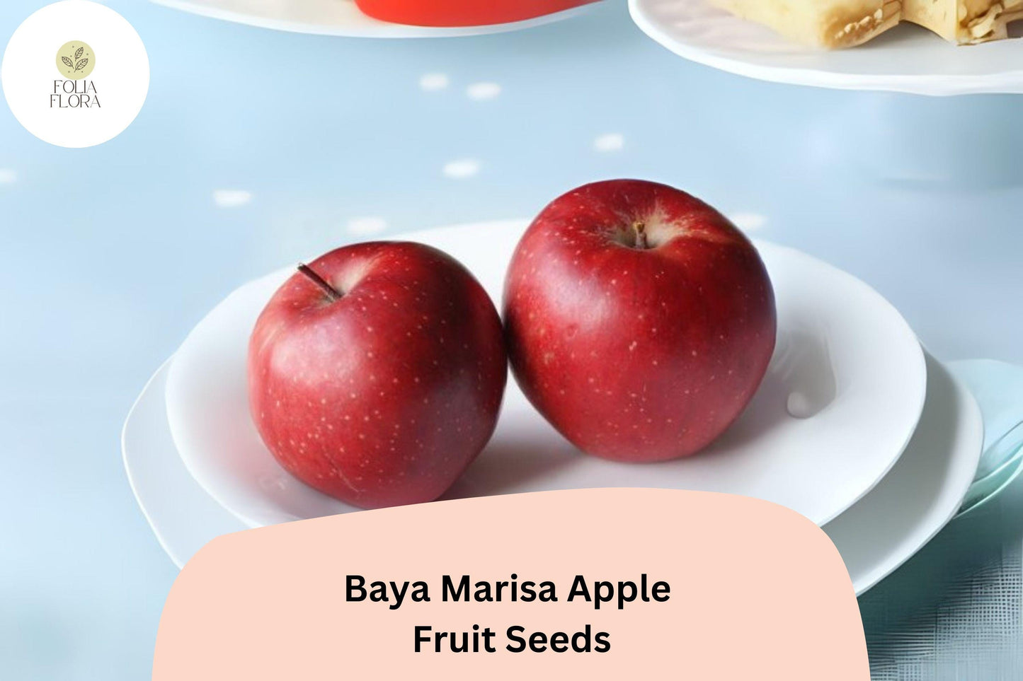 25+ Baya Marisa Apple Seeds | Rare Red Flesh Apple Tree | Sweet Crisp Fruit for Planting