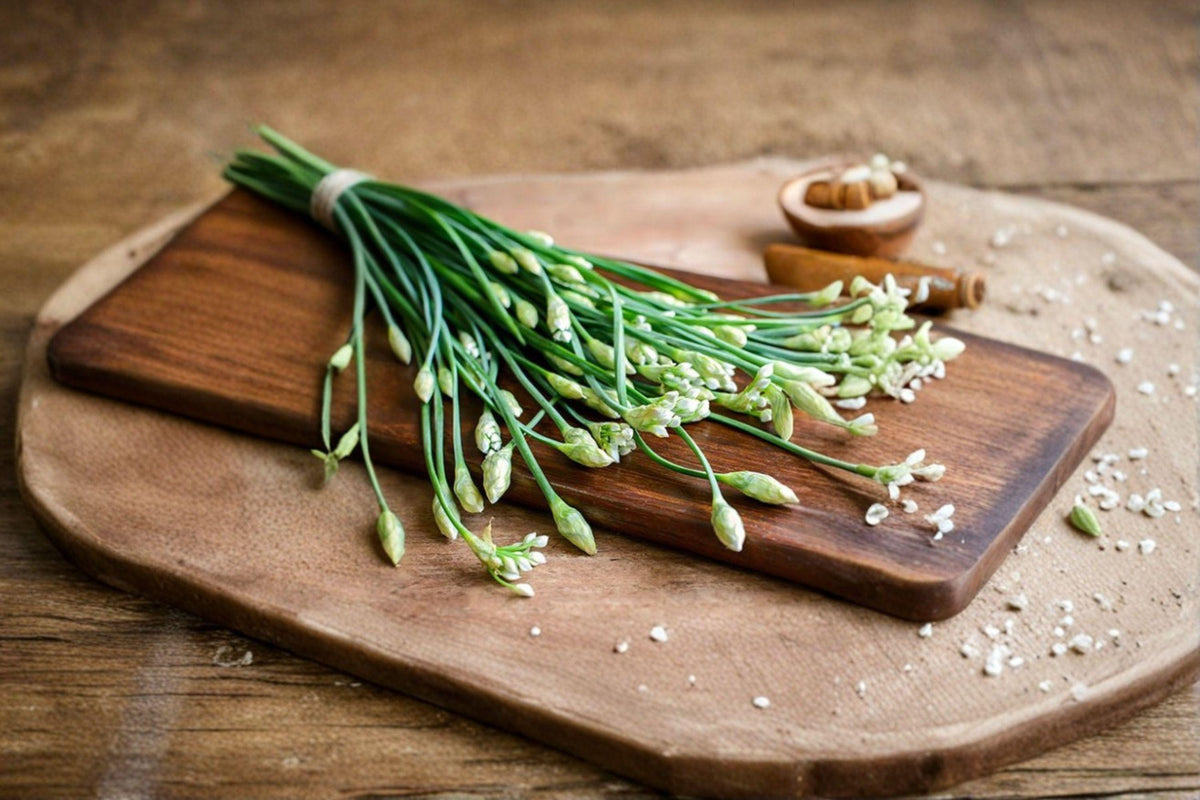 Garlic Chives Seeds 100 Count | Asian Culinary Herb | Mild Flavor | Allium tuberosum | Hardy Perennial for Gardens