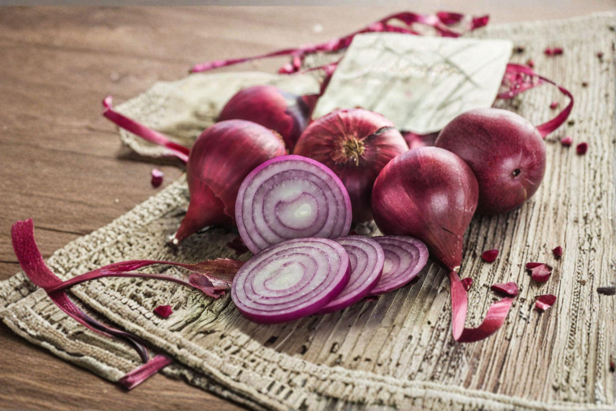 Red Burgundy Onion Seeds - 70 Count - Sweet Short-Day Variety - Allium cepa - Ideal for Southern Gardens and Early Harvests