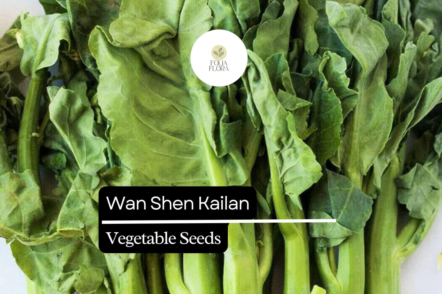 500mg Wan Shen Kailan Seeds | Chinese Broccoli Variety with Tender Stalks & Sweet Leaves